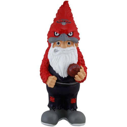 NBA Atlanta Hawks Team Mascot Gnome