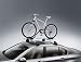 41x5jyVyI0L. SL75  BMW Touring Cycle & Mountain Bike Holder