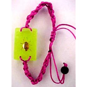 Spotted Pill Beetle Glowing Bracelet Real Insect Bug