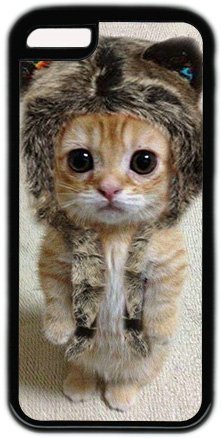 Cute Kitten Theme Iphone 5C Case
