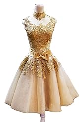 High-Neck Cocktail Short Organza Belted  Lace Applique Evening Dress/Homecoming Dress/Prom Dress/Wedding Party Dress  With a Bow(s)