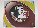 FLORIDA STATE SEMINOLES Team Logo 9 x 8 Computer MOUSEPAD