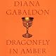 Dragonfly in Amber