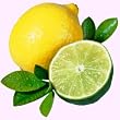 lime lemonade mix - 5.0 lb