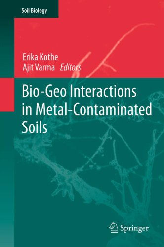Bio-Geo Interactions in Metal-Contaminated Soils: 31 (Soil Biology)
