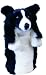 New! Daphne's Dogs Head Cover - Border Collie