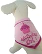 Birthday Girl Scarf Bandanna - LARGE - by I SEE SPOT
