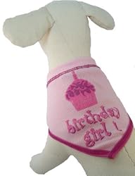 Birthday Girl Scarf Bandanna - SMALL - by I SEE SPOT