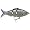 Chrome Minnow