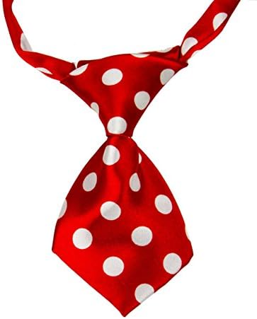 Infant Baby Boy Little Gentleman Adjustable Tie (Red White Polka Dots)