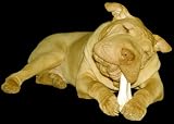 Pamper Your Pooch: Recipes for Man's Best Friend