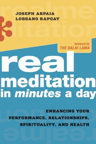Real Meditation in Minutes a Day Enhancing Your Performance  Relationships  Spirituality  and Health