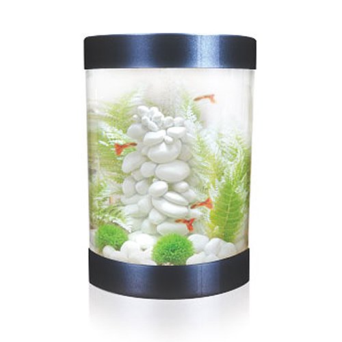 biUbe Aquarium with LED Light, Black, 9 Gallons biUbe Aquarium with LED Light, Black, 9 Gallons