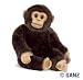Webkinz Signature Medium Size Chimpanzee In STOCK! September 2010 Release + 1 Free Pack Series 3 Trading Cards!!!