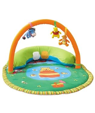 winnie the pooh playgym