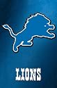 Detroit Lions (Logo) Framed Sports Poster Print - 24" X 36"