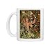 Photo Mugs of Starfish (Unidentified) - eating algae from Ardea Wildlife Pets