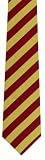 Boy`s Maroon & Gold School Color Neckties