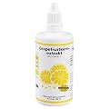 GRAPEFRUIT KERN Extrakt 100 ml