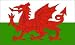 5ft X 3ft Wales Welsh Dragon National Flag