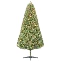 6' COLORADO PINE, MULTI