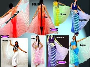 Bellyqueenand#8482 Belly Dance Costume Rainbow Silky Wing