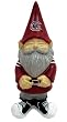 University of South Carolina Garden Gnome
