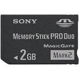 Sony 2 GB Flash Memory Stick ProDuo Card MSMT2G/TQ1 (Black)