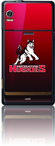 northeastern university