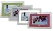 ATMT Morpheus 7 inch Digital Photo Frame With Interchangeable Colour Face Plates