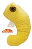GIGANTIC Giant Microbes - Bookworm (Anobium punctatum) (15-20 Inch Plush Toy)