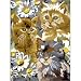 JUNIOR SMALL PAINT BY NUMBER KIT 8-3/4 X 11-3/4-KITTENS & DAISIES Image