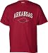 

Arkansas Razorbacks Perennial T-Shirt