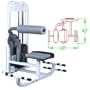 Maximus Fitness MX375 Abdominal and Back Exercise Machine