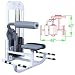 Maximus Fitness MX375 Abdominal and Back Exercise Machine