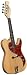 Saga RK-2 MT-10 Electric Mandolin Kit