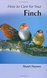 How to Care for Your Finch (Your first...series)