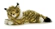 Maine Coon Cat Flopsie Plush Toy 12"