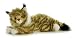 maine coon - Maine Coon Cat Flopsie Plush Toy 12