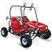 Go Kart 125cc Semi Auto with Reverse New Look