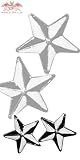 Ohrstecker White Nautic Star