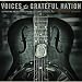 Voices of a Grateful Nation, Vol. 2