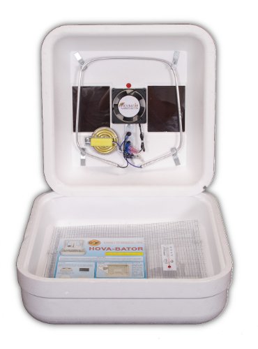 Hova Bator Egg Incubator 1602N with Circulated Air Fan Kit 