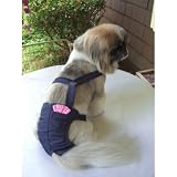 Joybies Durable Denim Piddle Pants(tm) for XX Small Female Dog (Measuring 9