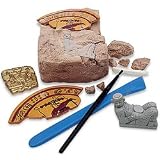 GeoSafari Buried Treasure Digs Mayan Dig