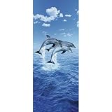 (34x79) Steve Bloom Three Dolphins Giant Door Poster Art Print