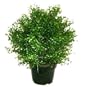 National Tree Company LAR-700-30 30 Inch Argentea Plant in Round Green Plastic Pot