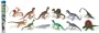 Safari LTD Carnivorous Dinos Toob