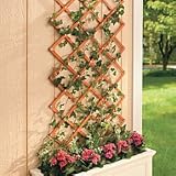 Expandable Garden Trellis - Improvements