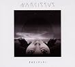 Narcissus